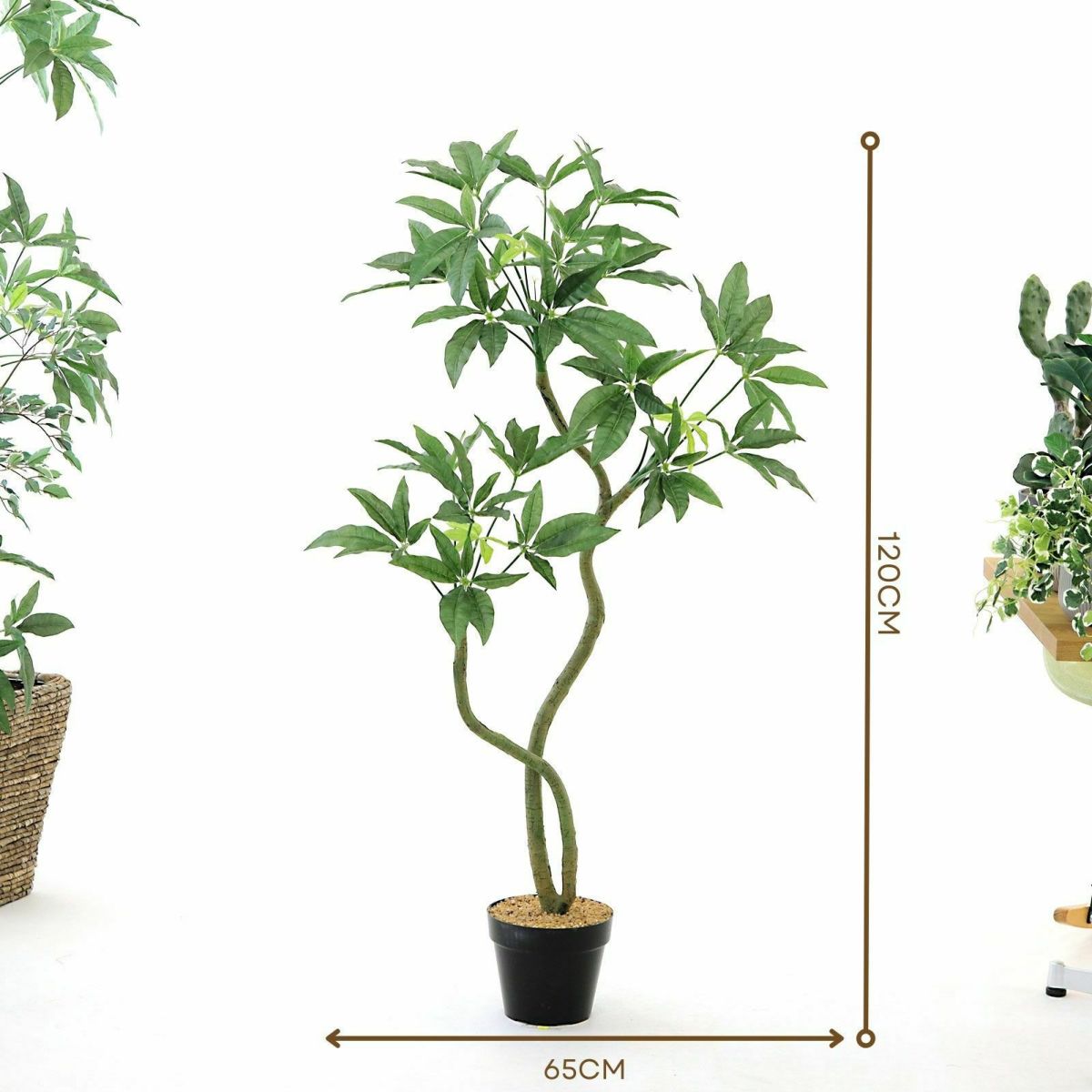 プラ鉢（+0円）