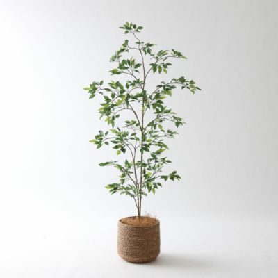 ベンジャミン（フィカス） | プレミアム光触媒フェイクグリーン 造花