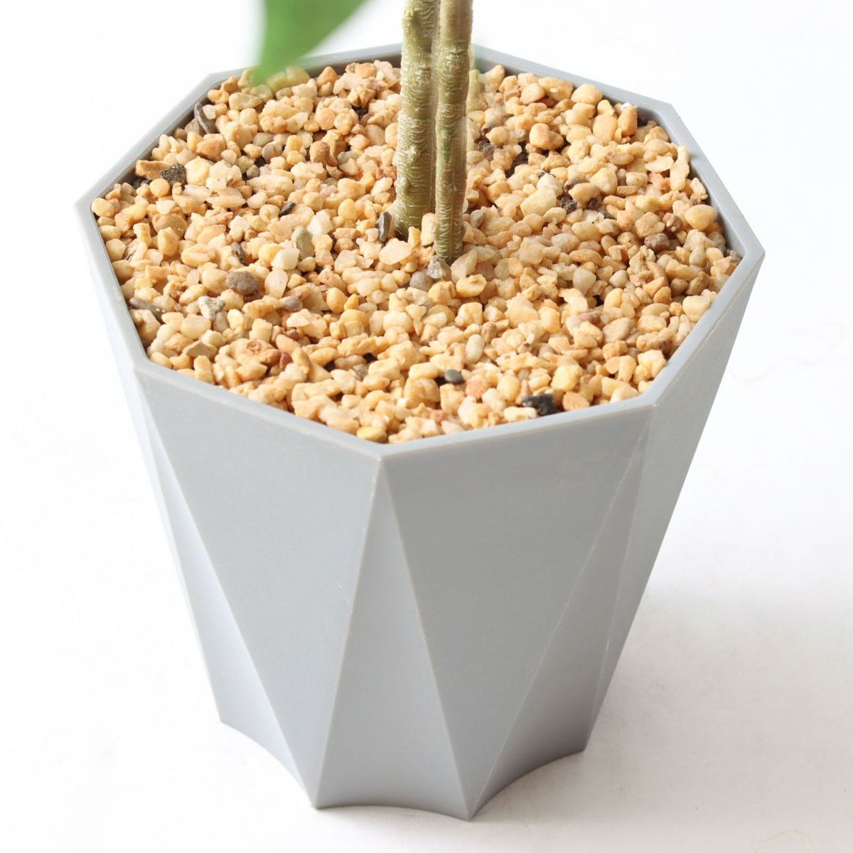 ⑬ Formaポット（標準）