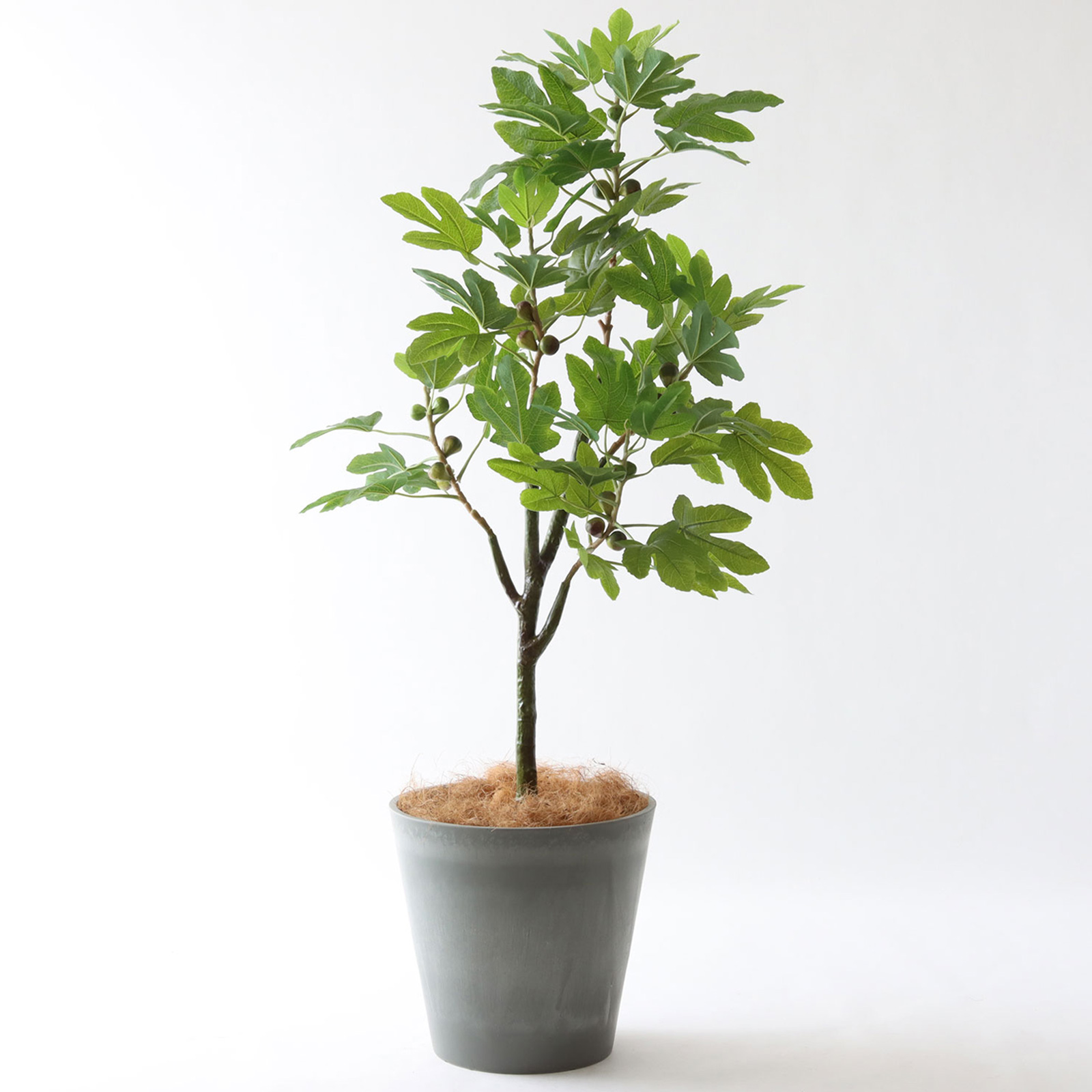 No9383 プレミアム光触媒フェイクグリーン【幹のラインを整えた半完成