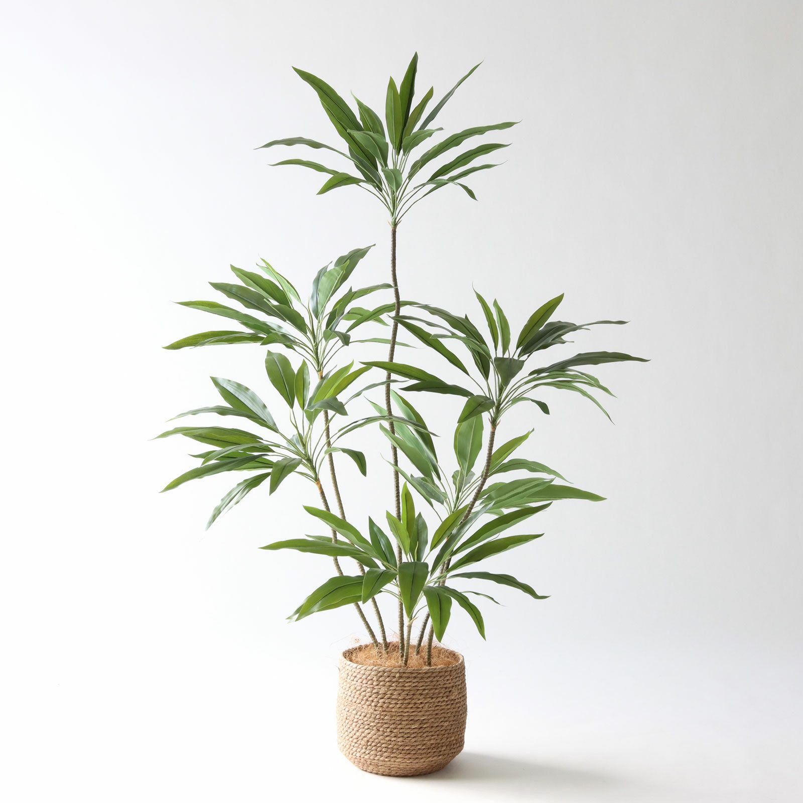 フェイクグリーン ドラセナ 光触媒 観葉植物 造花 インテリア