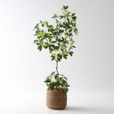 スリムでスタイリッシュ | プレミアム光触媒フェイクグリーン 造花