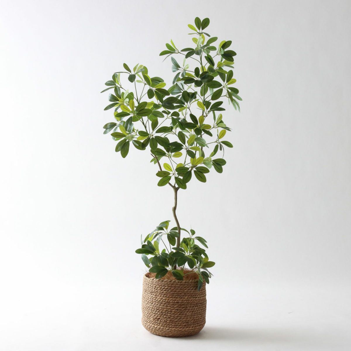 ③ シーグラス 小（SK7）鉢カバーセット