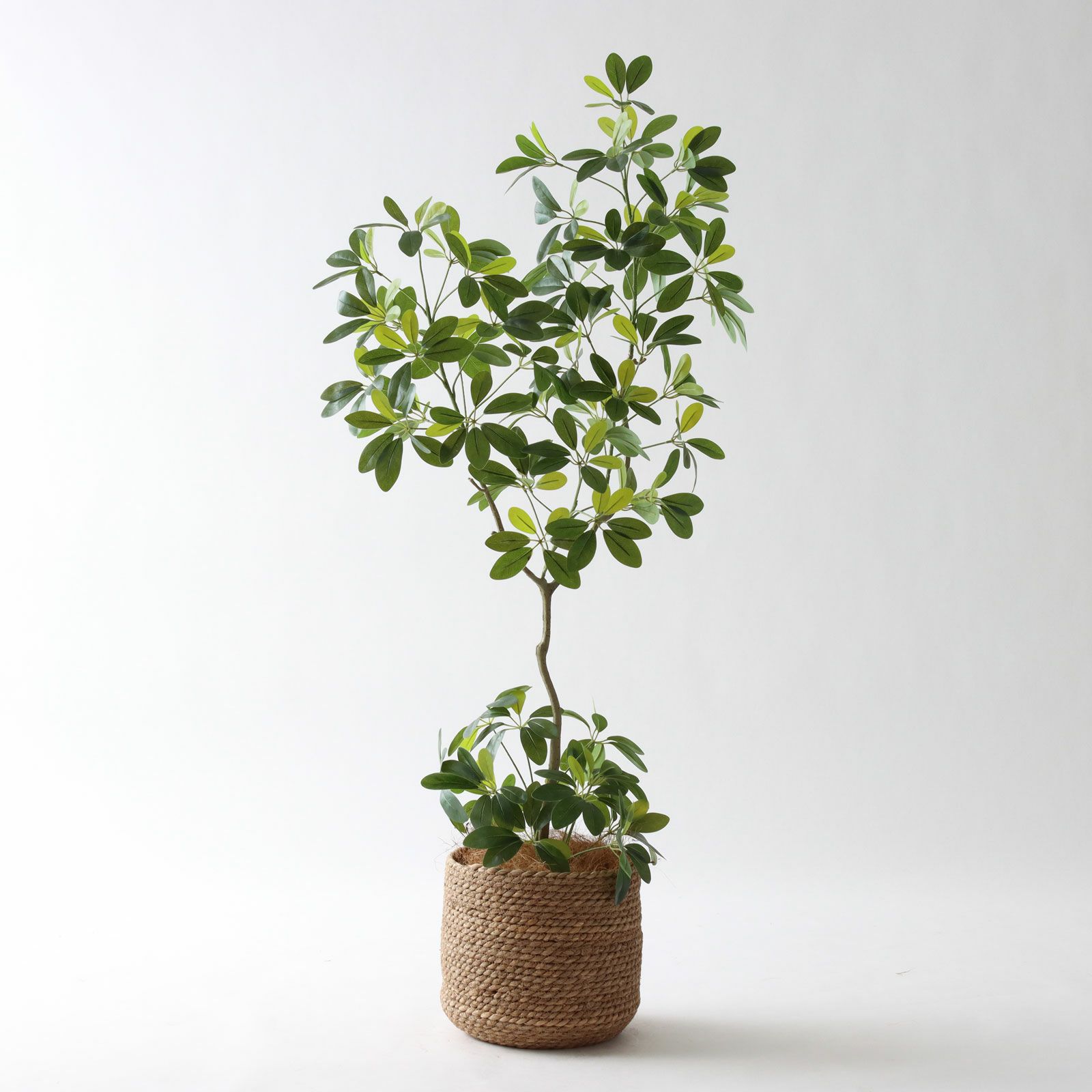 フェイクグリーン カポック シェフレラ 光触媒 観葉植物 造花 インテリア